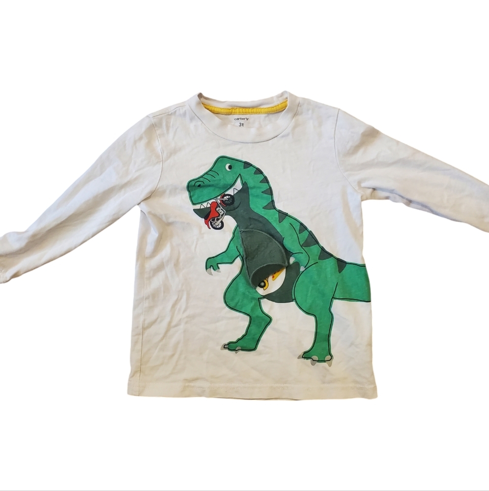 Dinosaur Graphic Long Sleeve Shirt